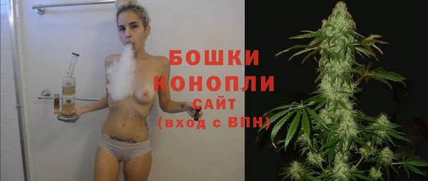 мдпв Богданович