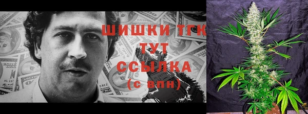 мдпв Богданович